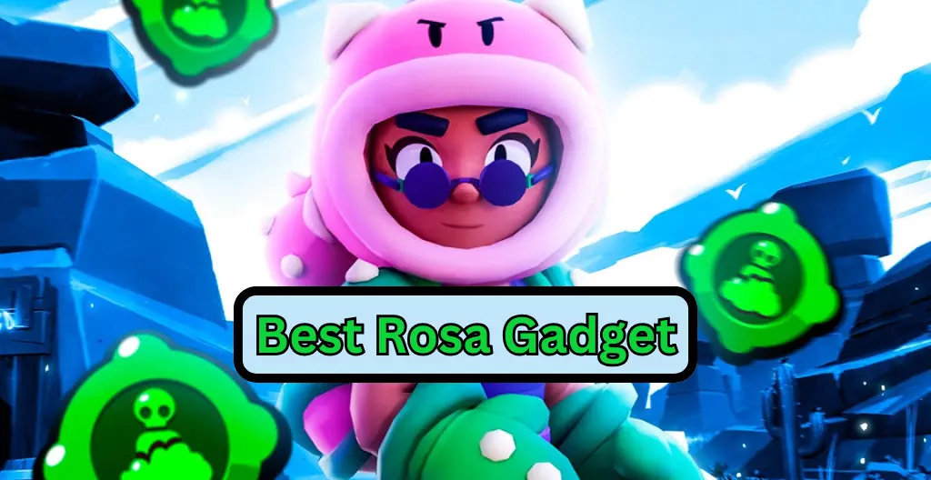 Best Rosa Gadget | Complete Guide | Web Gege