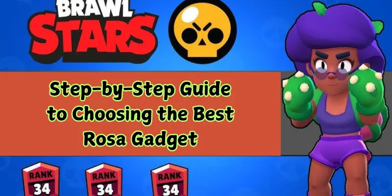 step-by-step guide to choosing the best rosa gadget