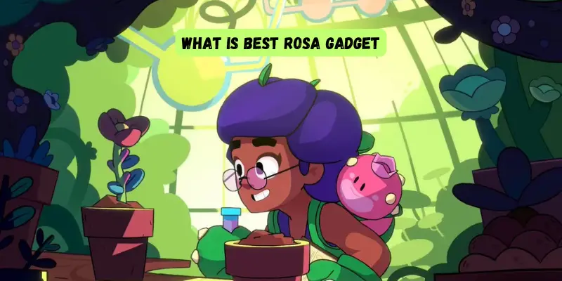 what is best rosa gadget